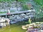 Bild: Am Teich.&nbsp;&ndash; Klick zum Vergr&ouml;&szlig;ern
