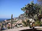 Bild: Im Kakteengarten in Monaco.&nbsp;&ndash; Klick zum Vergr&ouml;&szlig;ern