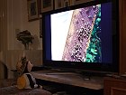 Bild: Fachfernsehsendung&nbsp;&ndash; Klick zum Vergr&ouml;&szlig;ern